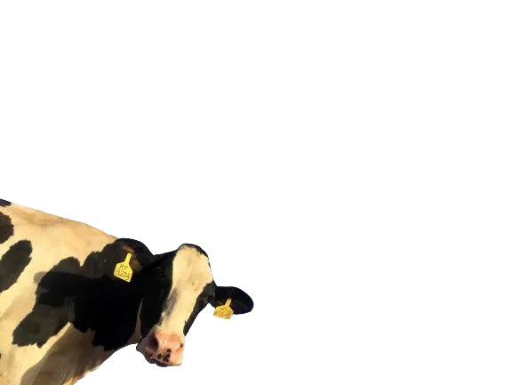 CleverCow